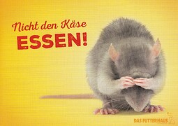 IMG_20211109_0004