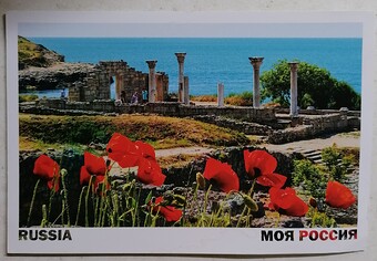 IMG_20251030_064619_edit_152093604962208