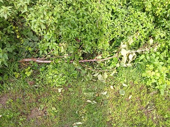 IMG_20230903_172353
