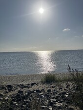 IMG_2385