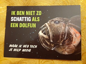 20250219_231812
