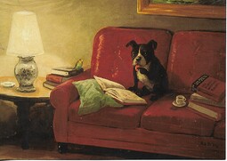 Books - Inkognito, Rudi Hurzlmeier - Intelligenzbestie