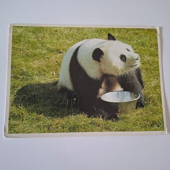 1761392558520297212702183719985