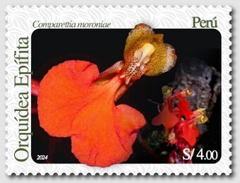 09 orquidea
