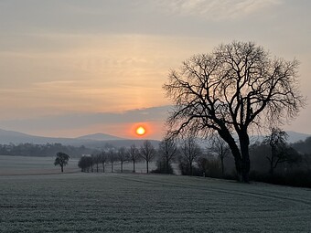 IMG_7223