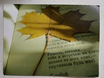 IMG_20251030_064521_edit_151976958499726