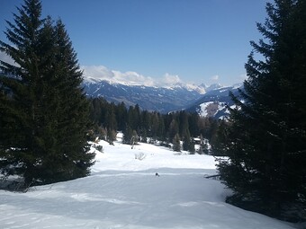 IMG_20250301_122253